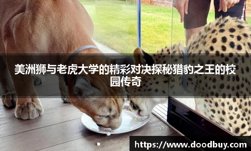 美洲狮与老虎大学的精彩对决探秘猎豹之王的校园传奇
